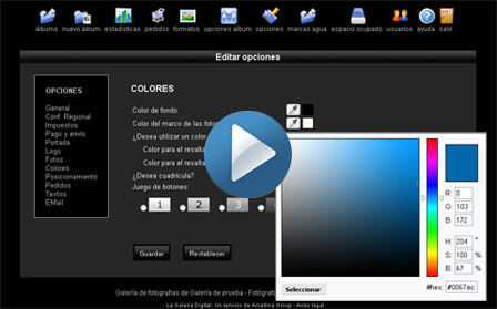 videolgd copia Aprende a personalizar tu Galería Digital