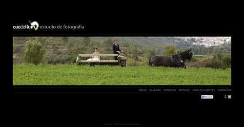 Cucdellum 500x260 Últimas webs de fotógrafos del 2011