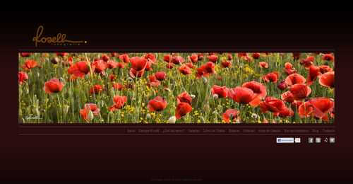 RosellFotografia 500x2601 Últimas webs de fotógrafos del 2011