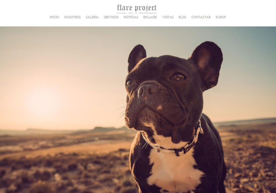 FlareProject