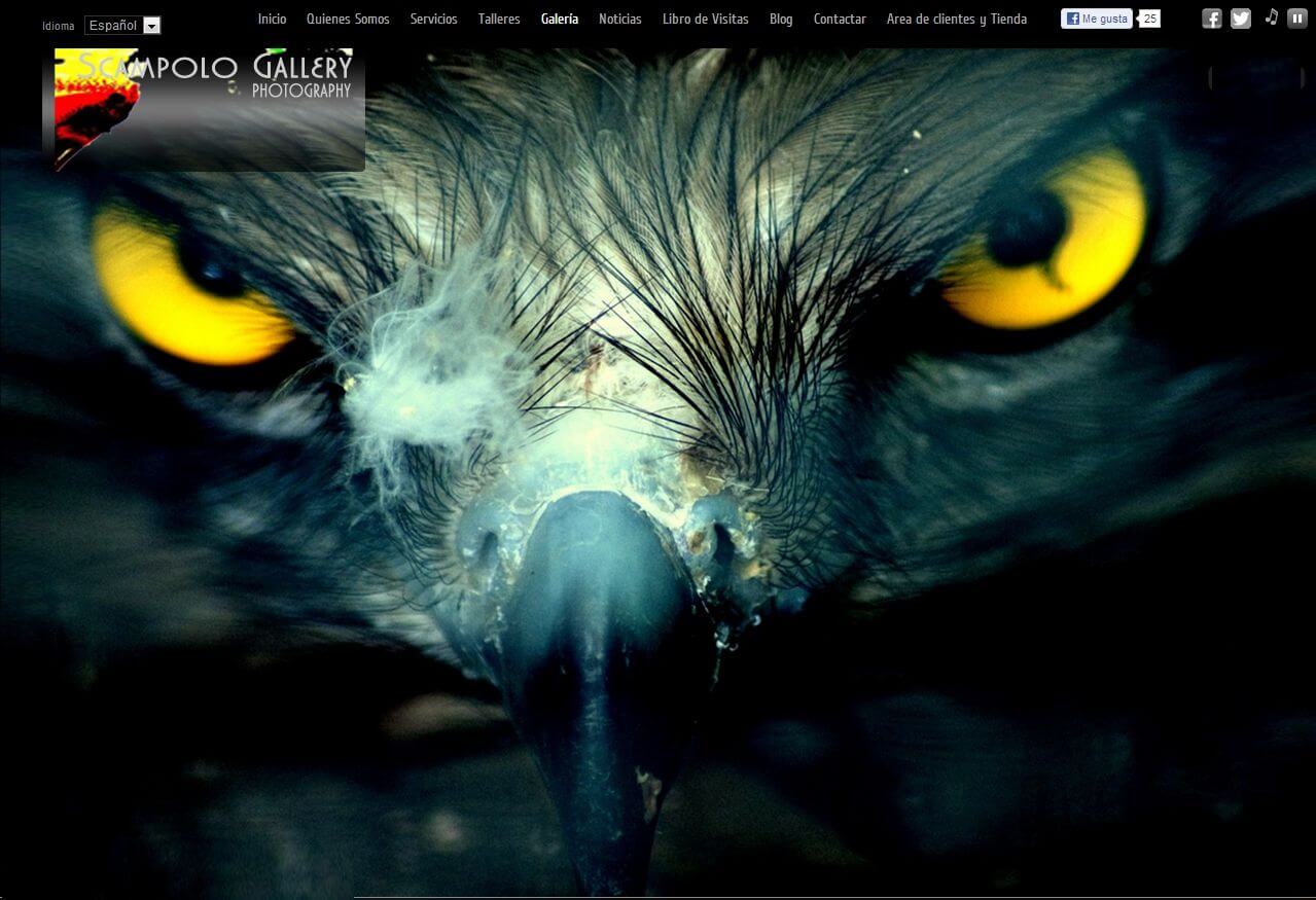 Scampologallery.com