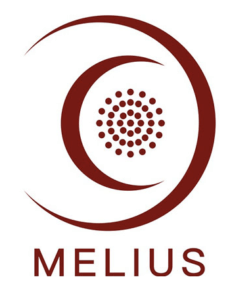 Plan de formación Melius de Emovere Studios