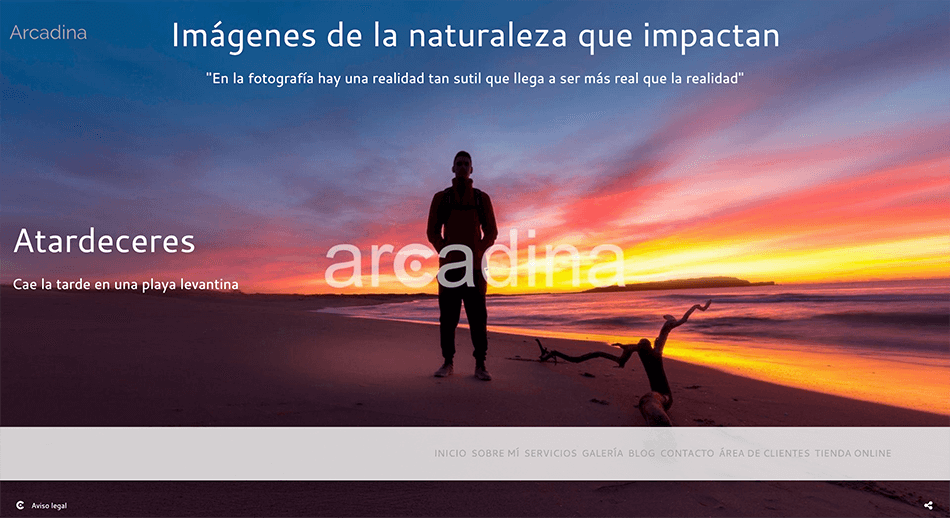 Arcadina-textos-comerciales-en-presentación-14