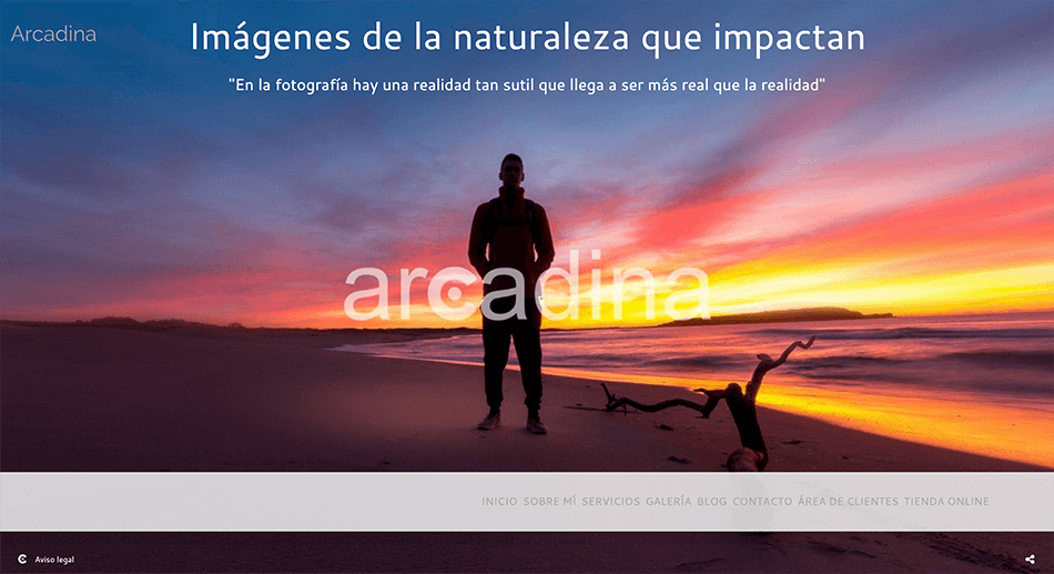 Arcadina-textos-comerciales-en-presentación-6-2