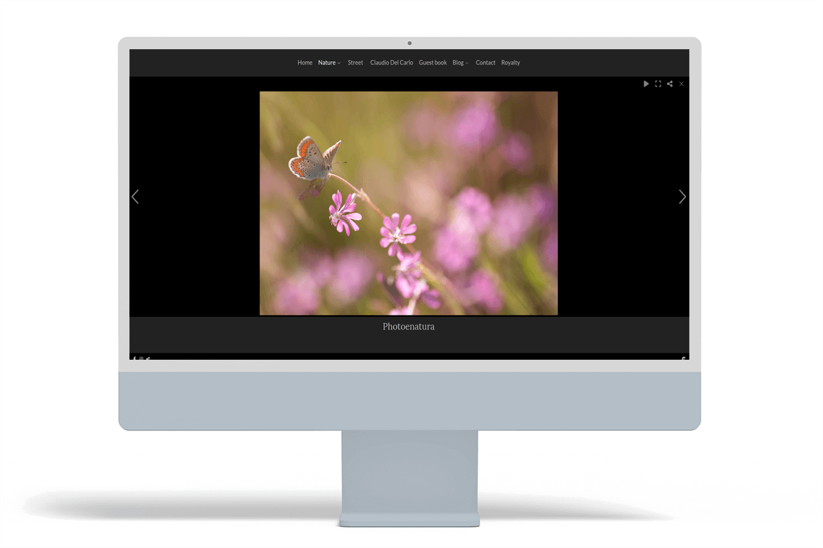 siti-web-di-fotografi-italiani-2-claudio-del-carlo-arcadina