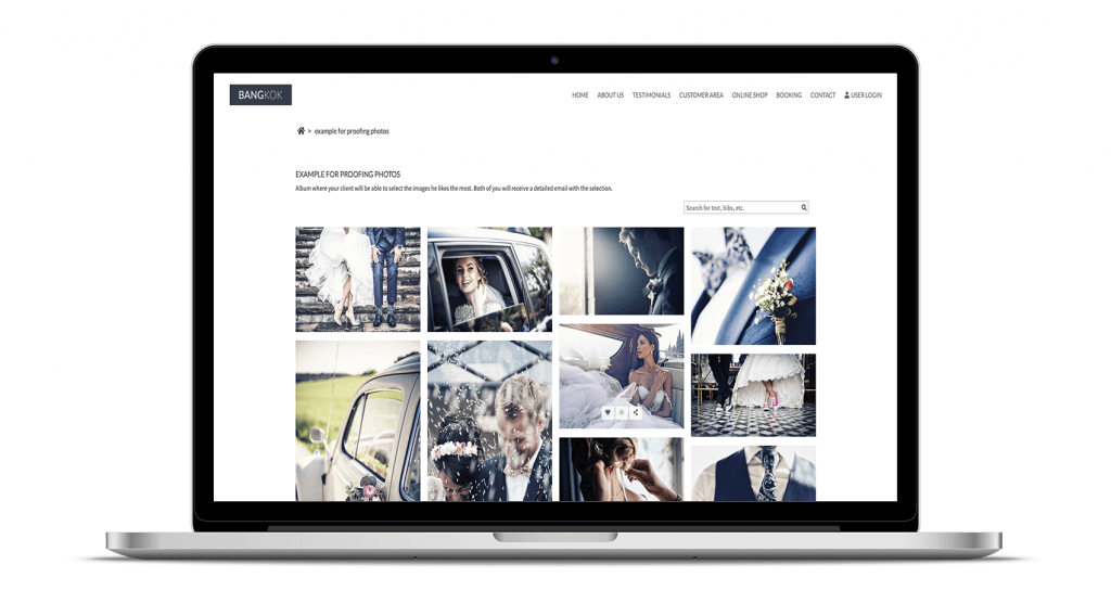 success-with-your-photography-website-2-arcadina