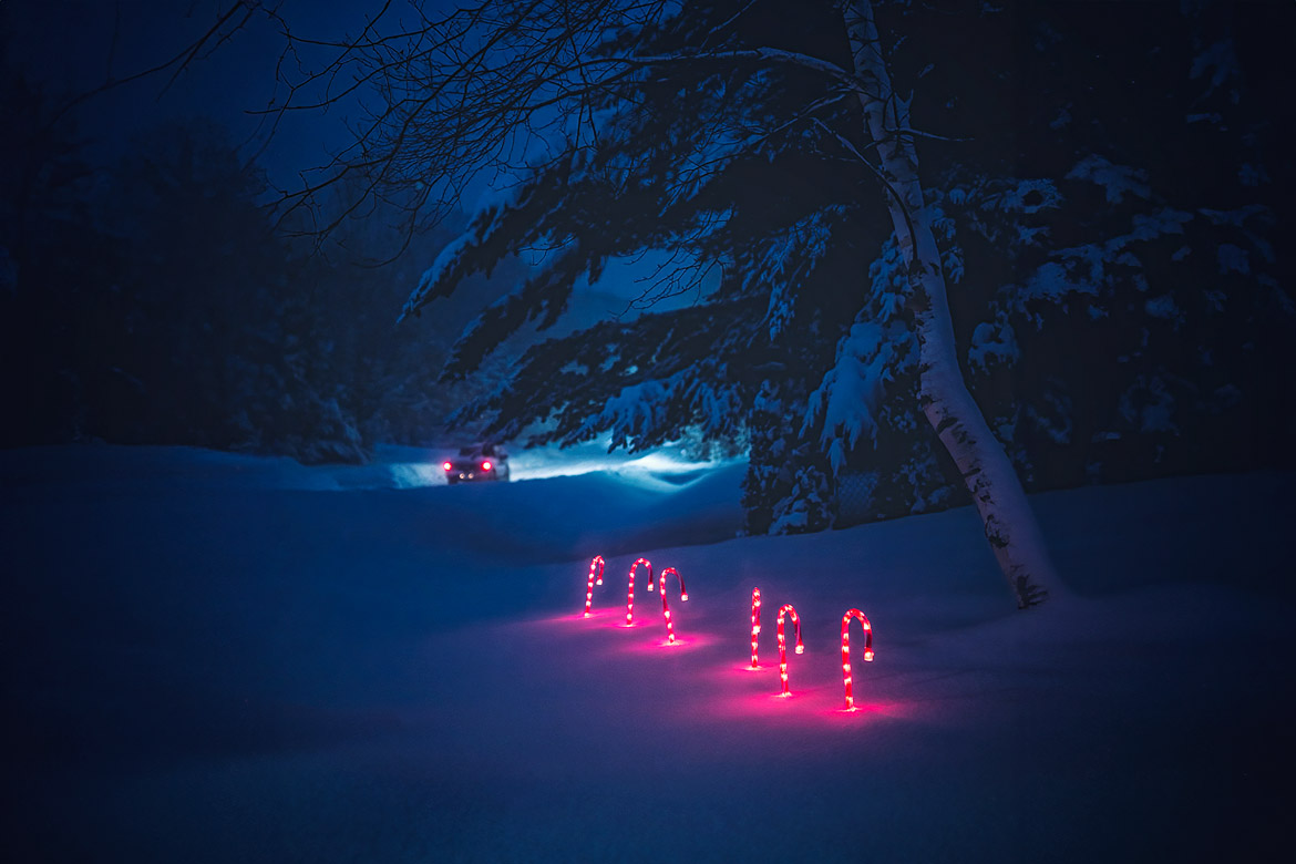 fotografos-de-navidad-portada-arcadina