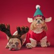 5 pasos que te ayudarán a vender más sesiones fotográficas de Navidad
