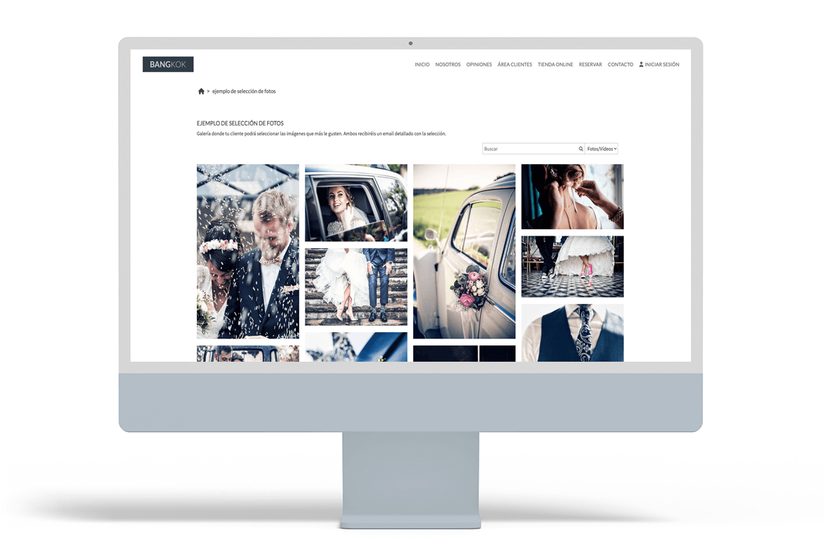 delivering-photos-to-clients-2-arcadina