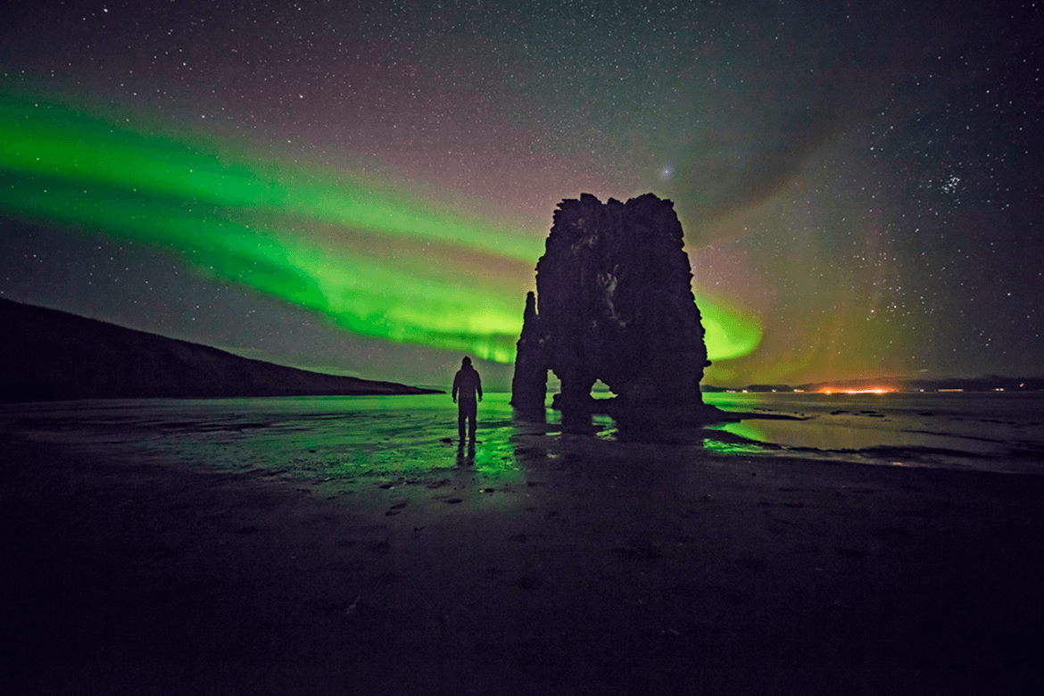 consigli-di-fotografia-naturalistica-2-arcadina