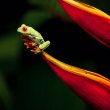 Conecta con el medio natural a través de 12 webs de fotografía de naturaleza llenas de belleza
