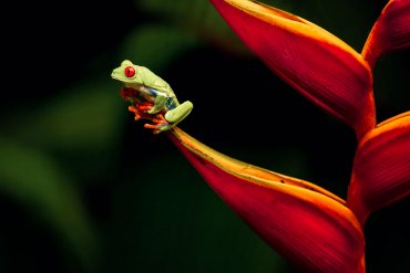 fotografia-de-naturaleza-arcadina