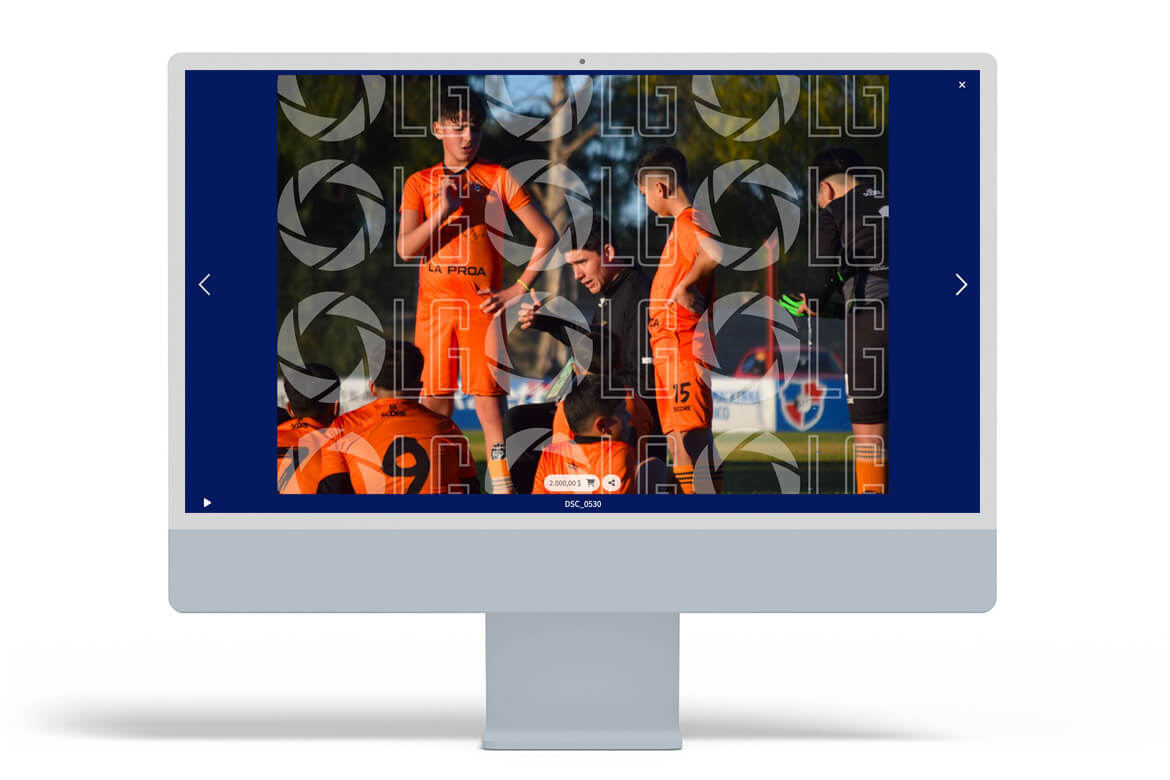 filigrane-per-fotografi-16-elegeph-arcadina