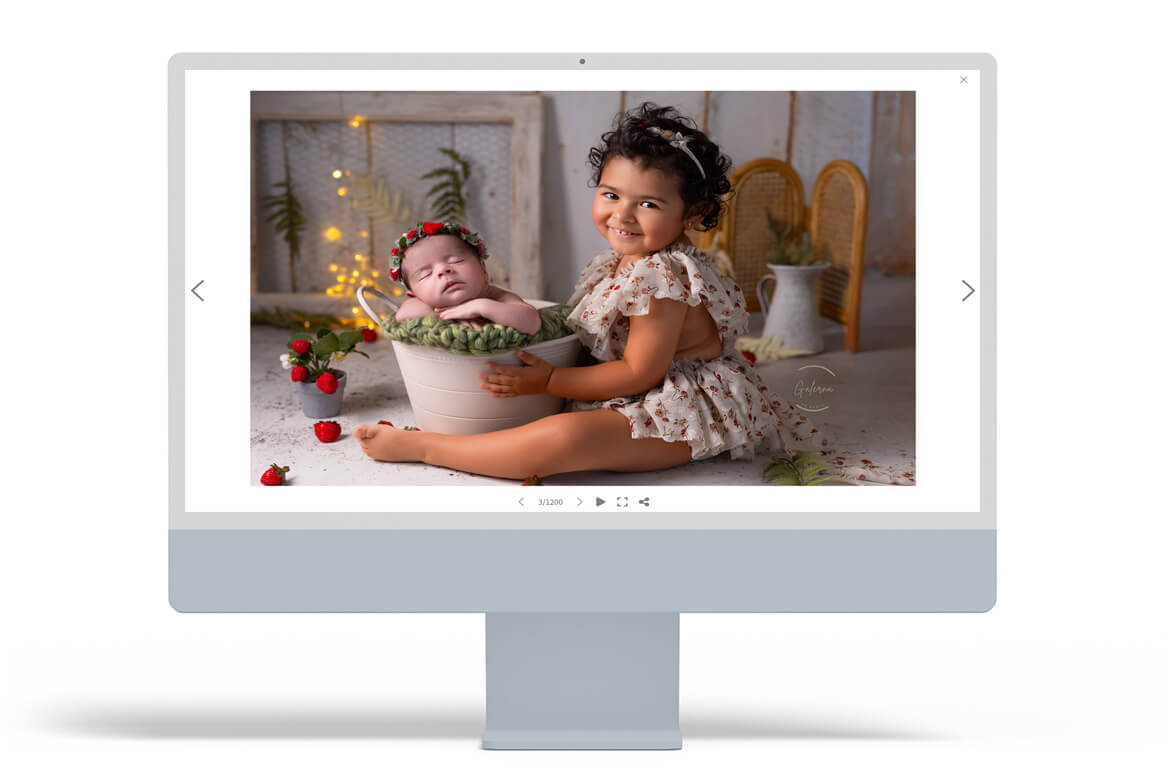 filigrane-per-fotografi-21-galerna-fotografia-arcadina