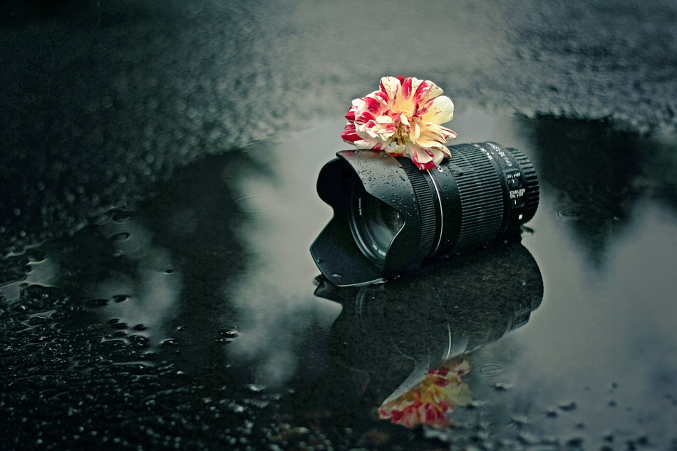 marcas-de-agua-para-fotografos-portada-arcadina