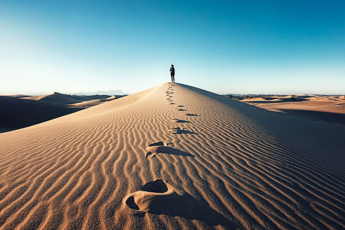 first-steps-with-arcadina-cover-arcadina