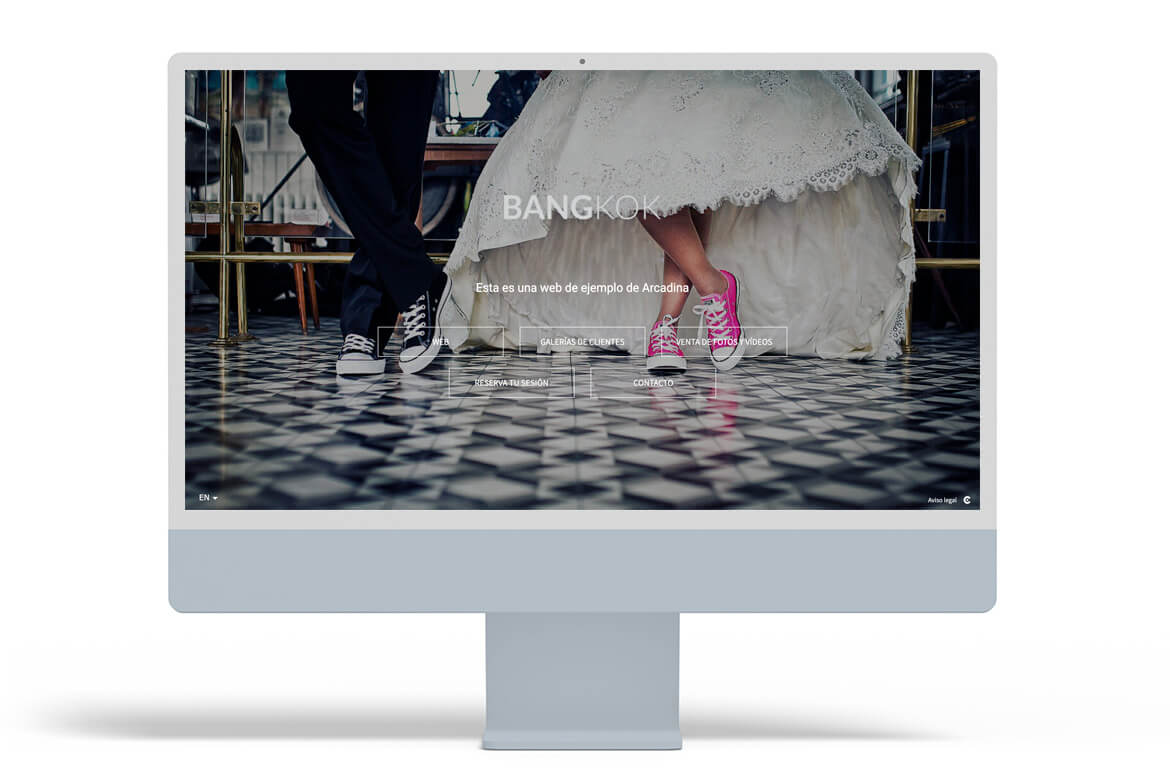upgrade-your-digital-photography-business-3-arcadina