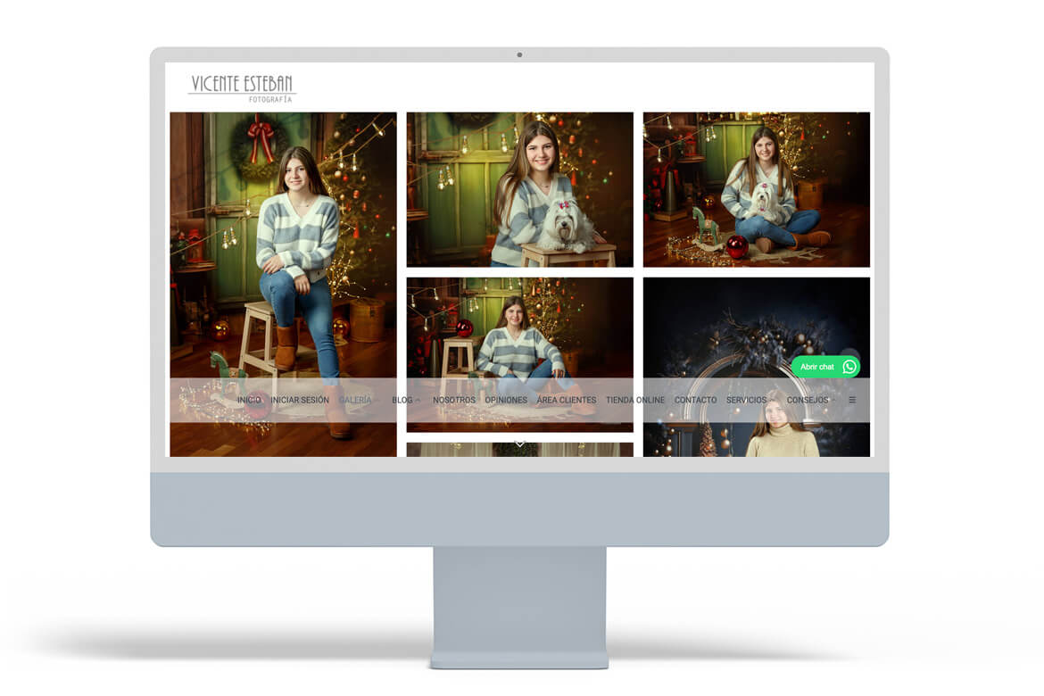 christmas-photographers-10-vicente-esteban-arcadina