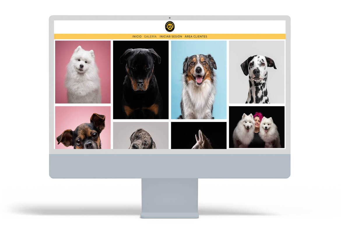 names-for-photography-studio-3-el-estudio-animal-arcadina