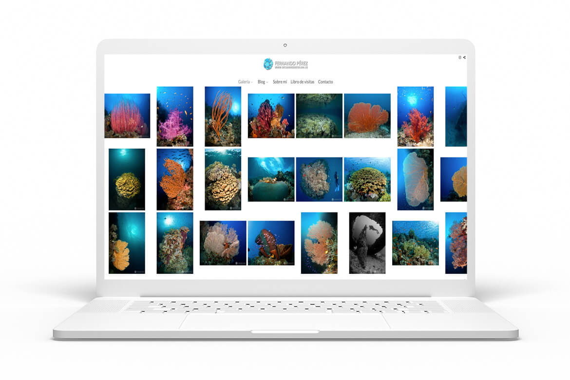 names-for-photography-studio-6-oceanos-de-color-arcadina