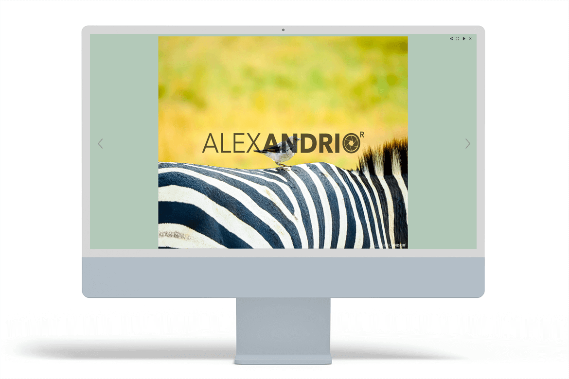 nature-photographer-websites-10-alexandrio-fotografia-arcadina