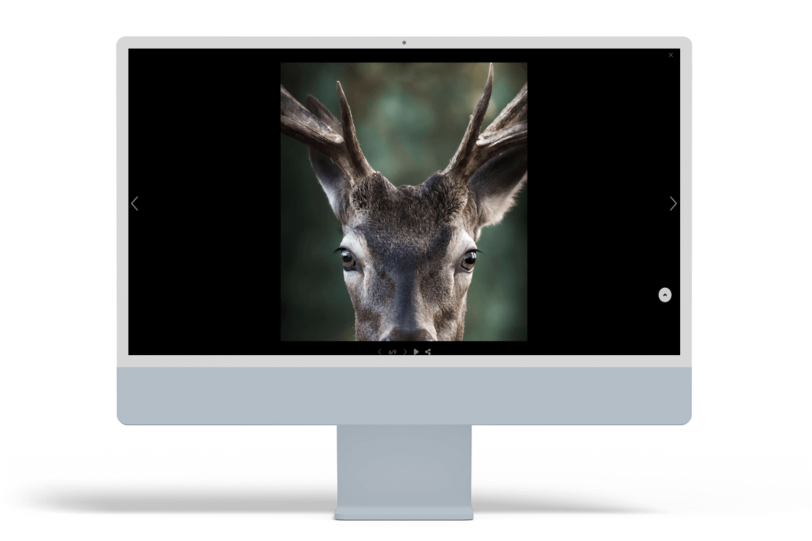 siti-web-di-fotografi-naturalisti-15-arturo-montes-arcadina