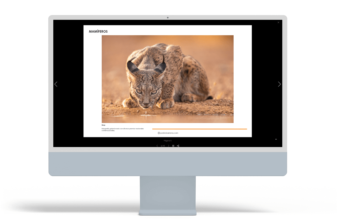 nature-photographer-websites-2-pablo-barrena-arcadina