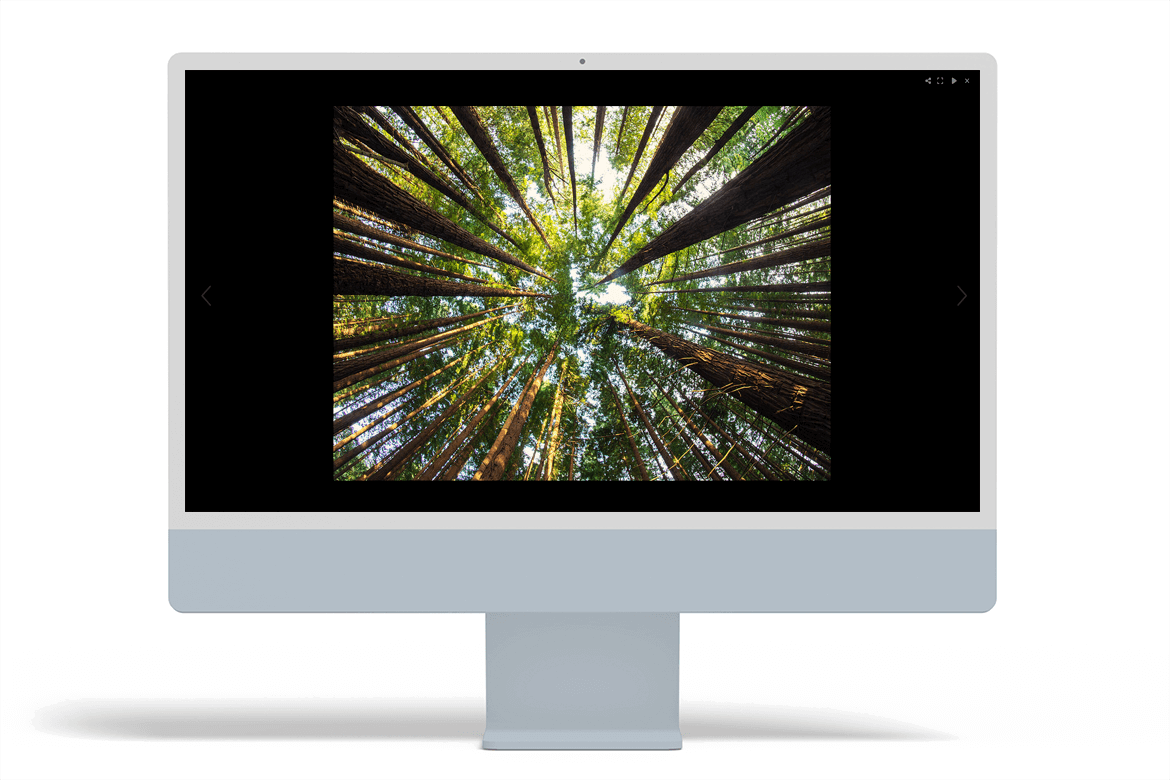 nature-photographer-websites-4-dario-rey-arcadina