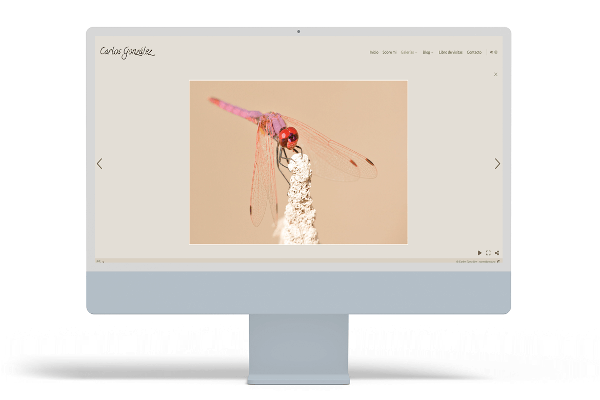 nature-photographer-websites-5-carlos-gonzalez-arcadina