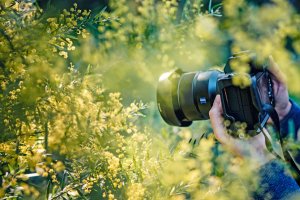 Descubre 14 webs de fotógrafos de naturaleza que te conectarán con la belleza del medio natural webs-de-fotografos-de-naturaleza-p-arcadina