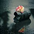 Descubre todo lo que necesitas saber sobre marcas de agua para fotógrafos
