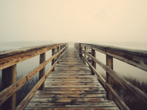 arcadina_Look_back_to_move_forward._Inspirational._no_text._-_f21eaf4a-0826-4565-9813-99ba3f0bfc84_2